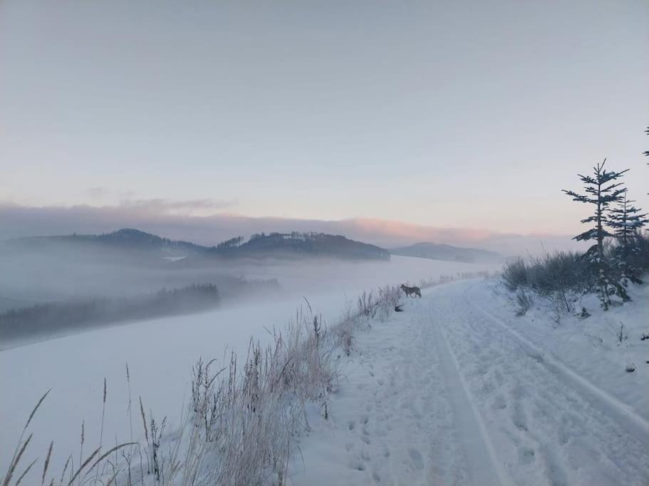 Haus Julia Direkt Am Hennesee Mitten Im Sauerland Meschede Esterno foto